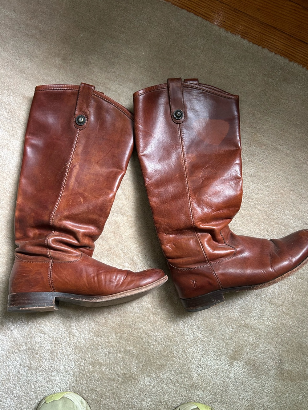 FRYE AND CO. Women's Tall Pull-On Leather Boots in Rich Brown